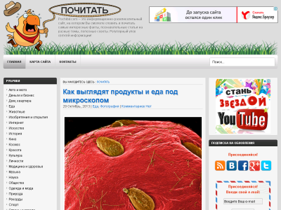 Скриншот Pochitat.com – информационно-развлекательный сайт