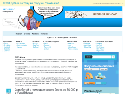 Скриншот SEO блог начинающего Скриншот SEO блог начинающего