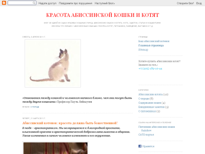 Скриншот Красота абиссинской кошки Скриншот Красота абиссинской кошки