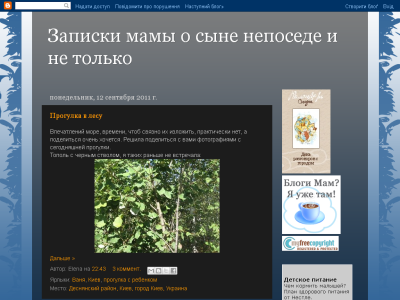 Скриншот Записки мамы о сыне непоседе и не только Скриншот Записки мамы о сыне непоседе и не только